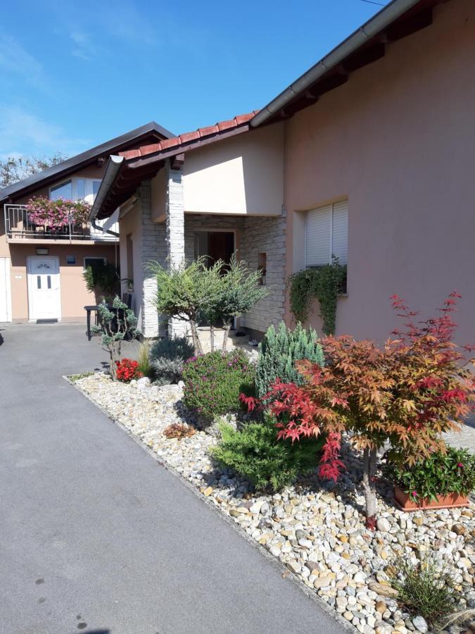 Studio Apartmani "Stimac" Garesnica Exteriör bild